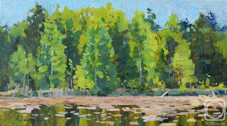 ������� ������ �� ������. ������� �������. ������� ������