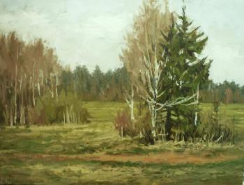 Spring landscape
