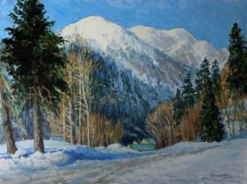 Winter Dombai (Mountain Skiing). Bychenko Lyubov
