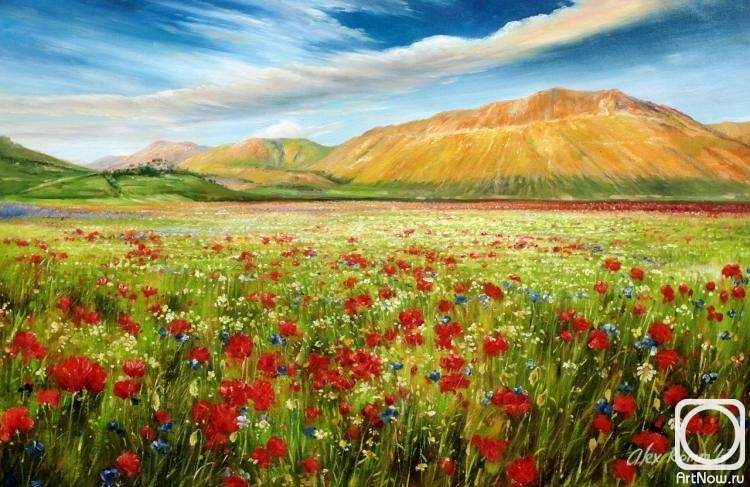 Romm Alexandr. Poppies on the background of mountains N1