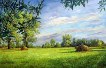 Summer day in the fields. Romm Alexandr