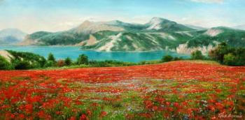 Poppies on the background of mountains N2