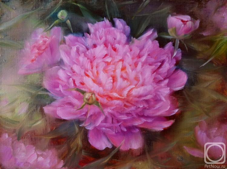 ������� ������ �� ������. �������� ��������. ������� ����