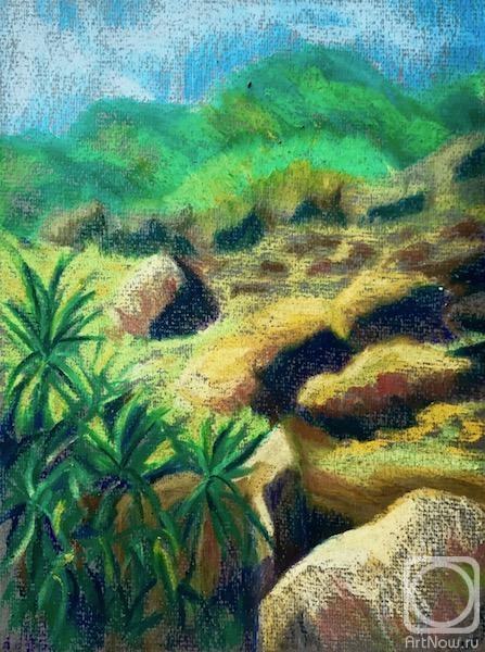 �������. �������� ������. �����. �����