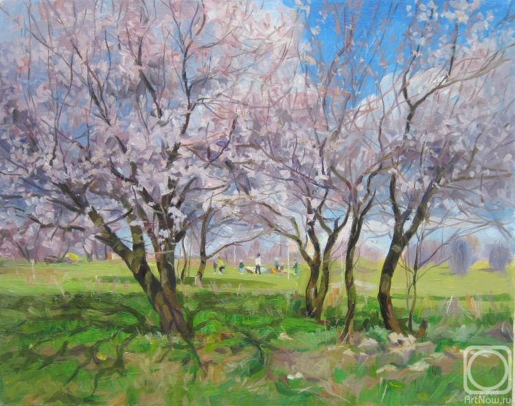 ������� ������ �� ������. ������� ��������. �����. ��������� ����