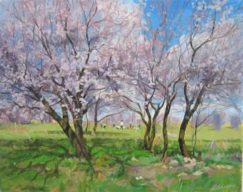 ������� ������. ��������� �����