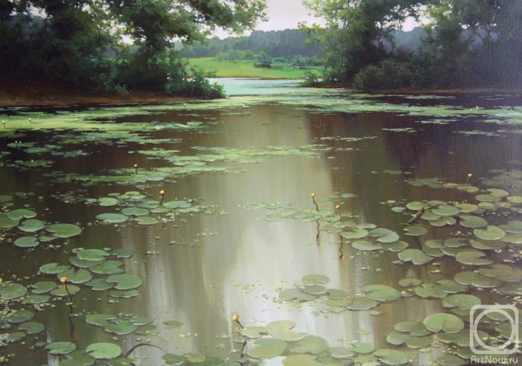 Zaitsev Alexander. Pond