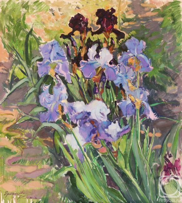 Grigorieva-Klimova Olga. Irises