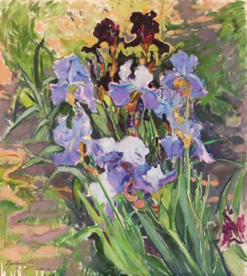 Irises. Grigorieva-Klimova Olga