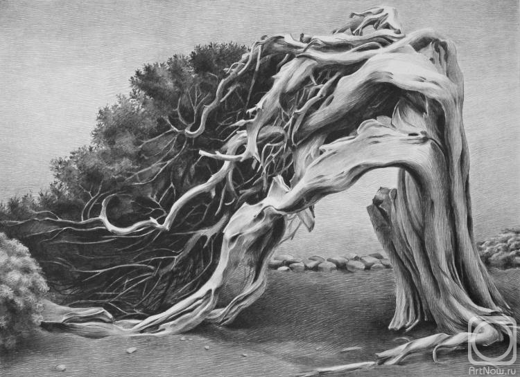 �������. ���������� ���������. ������� ������