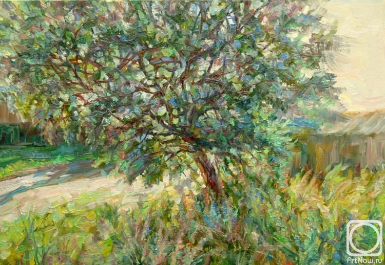 �������. ������ �������. ����������� ����