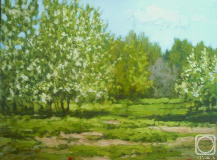 �������. �������� ��������. ���