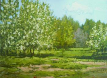 ������� ����