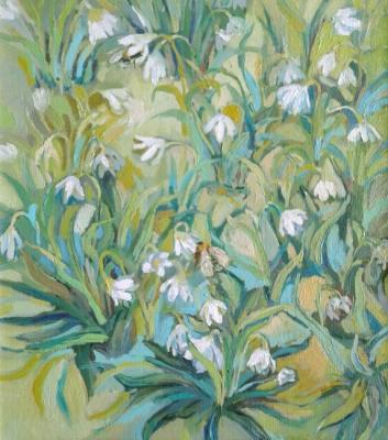 Primroses (Galanthus 1)