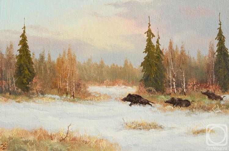 Lyamin Nikolay. Winter, wild boars