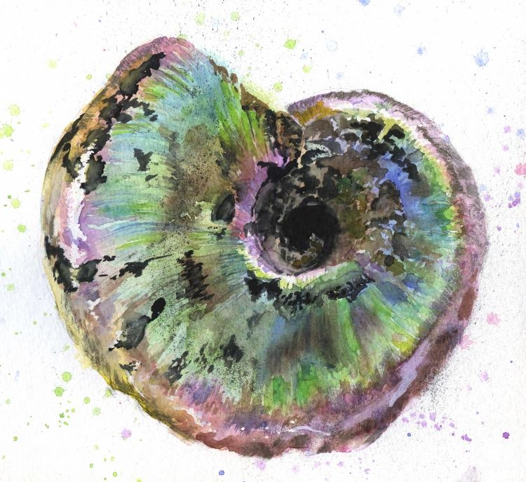 �������. ������ �������. �������