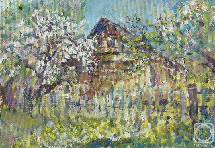 Sechko Xenia. Old house, flowering garden, dandelions in the grass