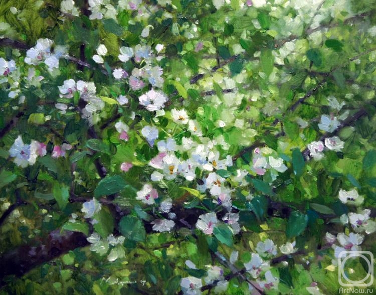 ������� ������ �� ������. �������� �������. ���� ������