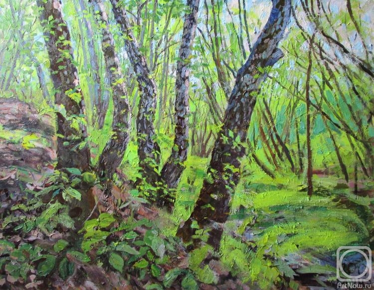 Dobrovolskaya Gayane. May in the ravine, crooked trunks of birch trees