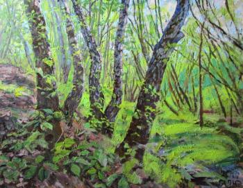 Painting May in the ravine, crooked trunks of birch trees. Dobrovolskaya Gayane