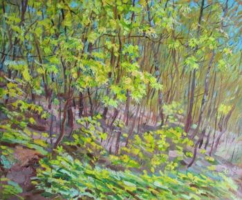 Painting May in the ravine. Dobrovolskaya Gayane