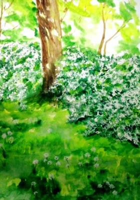 Bride's Bush. Khubedzheva Nataliya