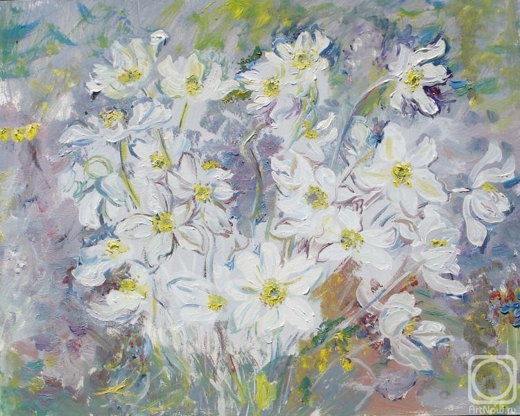 Sechko Xenia. White anemones