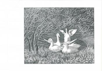 ������� �����