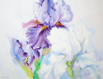 ������� ������ ����