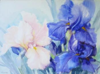 Картина «Новые ирисы в саду»