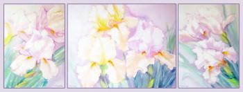 ������� �������� ������