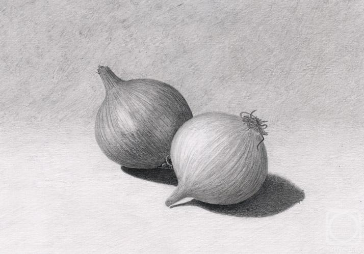 Rustamian Julia. Onions