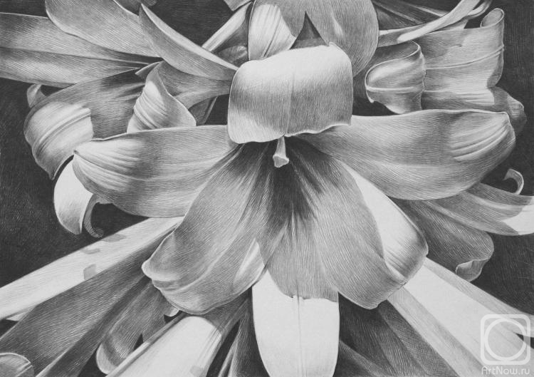 �������. ���������� ���������. �����