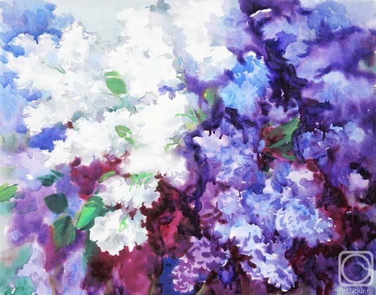 �������. ���������� ���������. ����� � ���������� ������