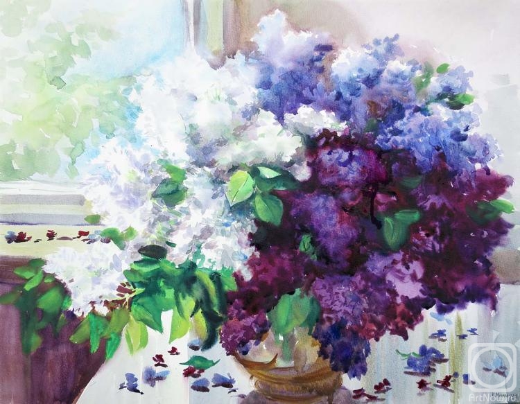 �������. ���������� ���������. ����� ������ � ����