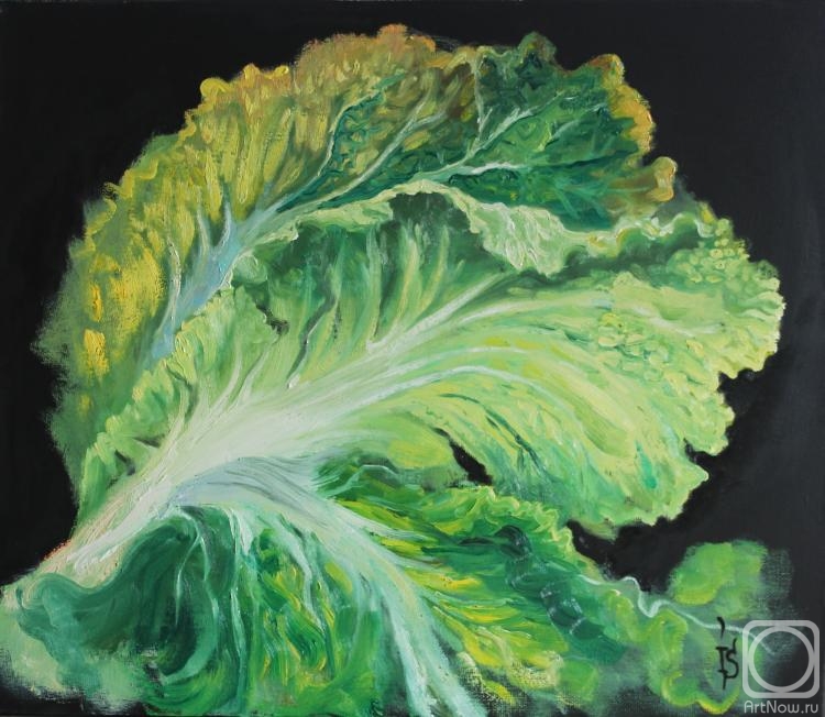 Sergeyeva Irina. Cabbage