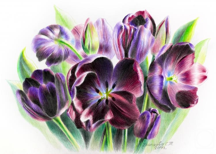 Khrapkova Svetlana. Tulips Paul Scherer