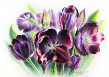 Tulips Paul Scherer. Khrapkova Svetlana
