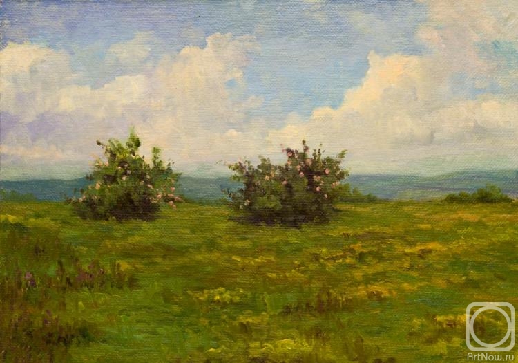 Bravkov Vladimir. Rosehip blooms