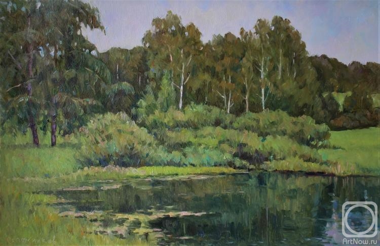 Sapozhnikov Yura. On the Pond (etude)