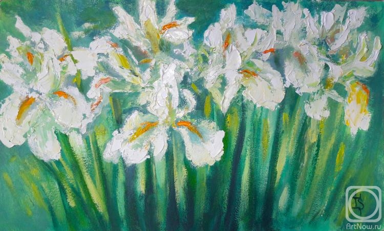 Sergeyeva Irina. White Irises