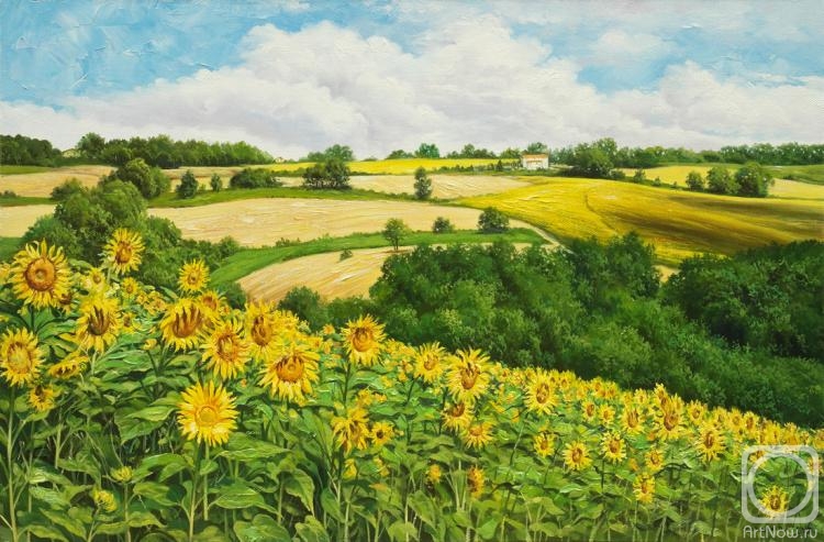 Zhaldak Edward. Sunflowers Of Tuscany
