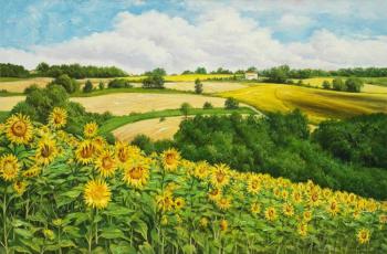 Sunflowers Of Tuscany (Buy Landscape With Sunflowers). Zhaldak Edward