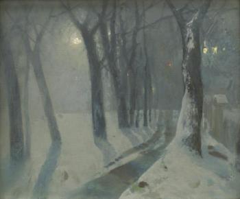 Frosty night (Light From A Windows). Mekhed Vladimir