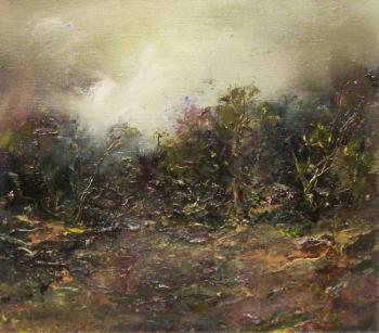 Misty Forest. Jelnov Nikolay