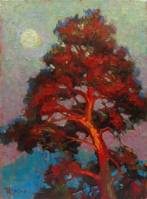 Pine tree (etude). Volkov Sergey