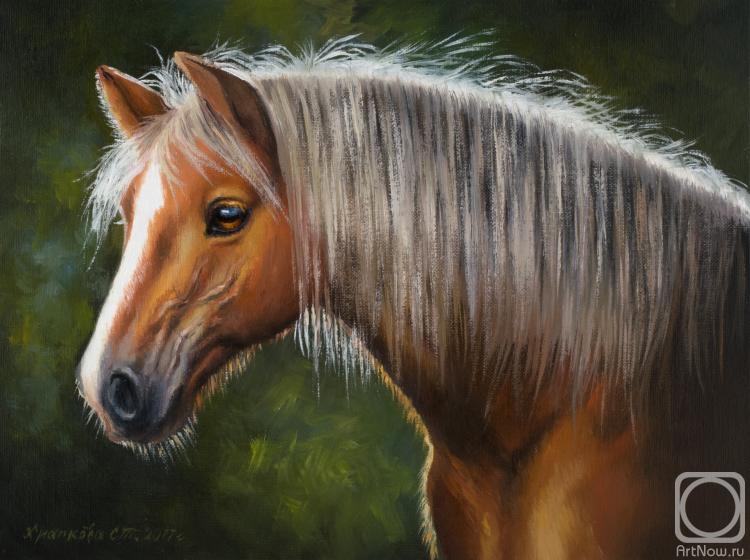 ������� ������ �� ������. �������� ��������. ������ ���������