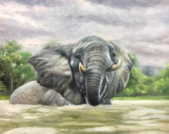 Painting Elephant. Bruno Tina