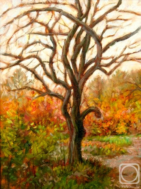 ������� ������ �� ������. ������ �������. ���������� ������