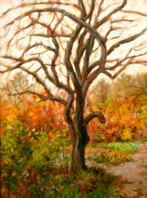 ������� ����������� ������